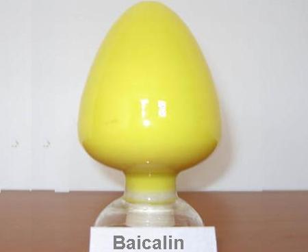 <BR>Plant