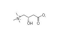 <BR>L-CARNITINE&nbsp;